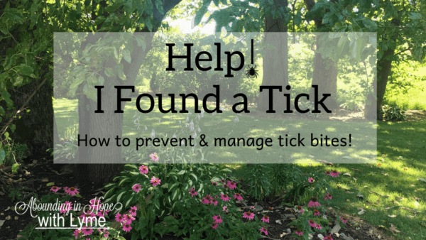 Help! I Found a Tick!